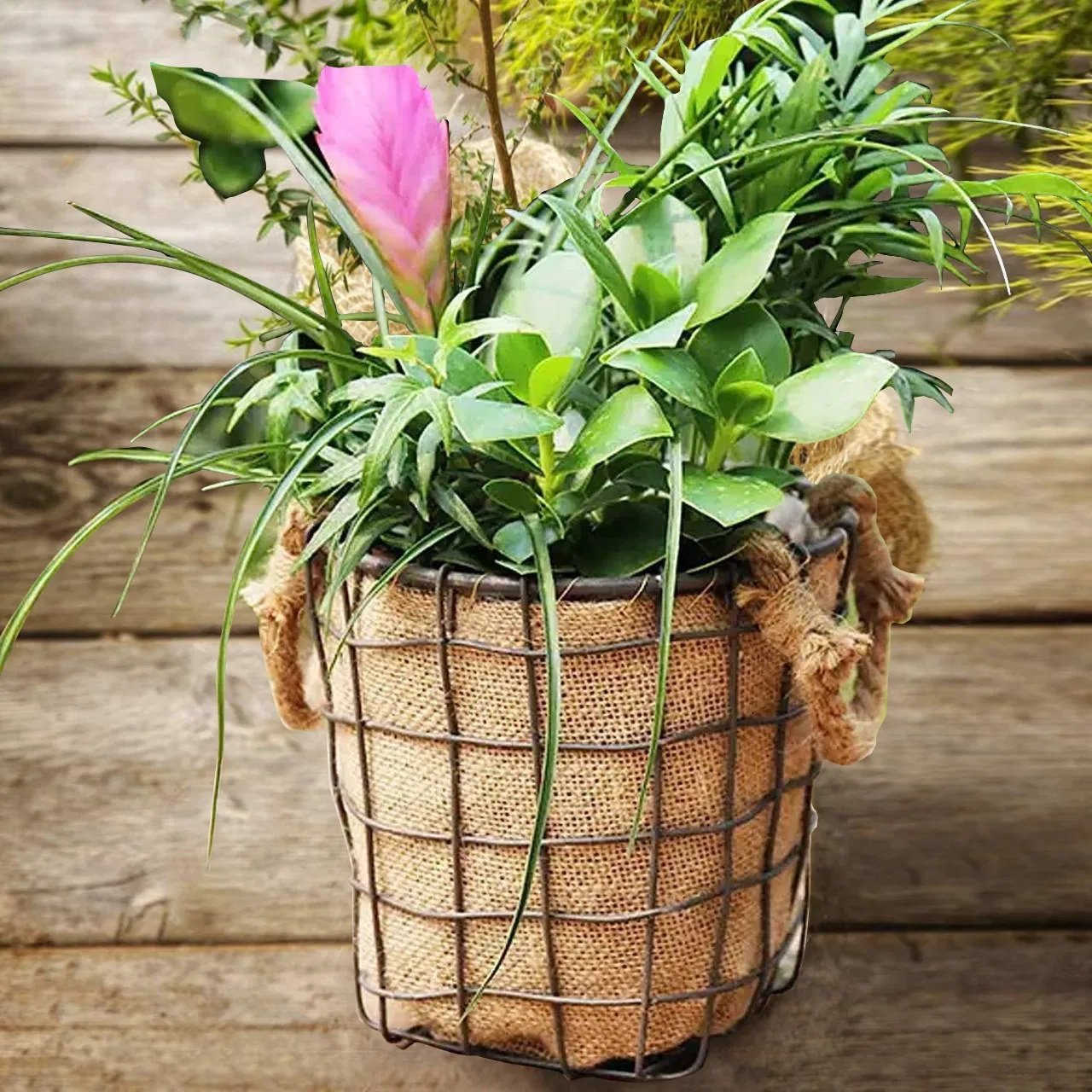 Burlap Tree Wraps,4 Rolls - Image 4