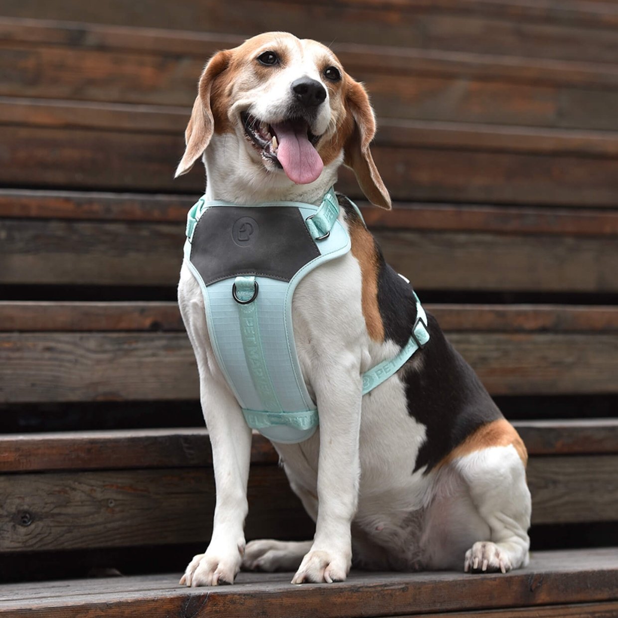 PETMARVEL Adjustable Embroidered Stylish Dog Harness - Image 9