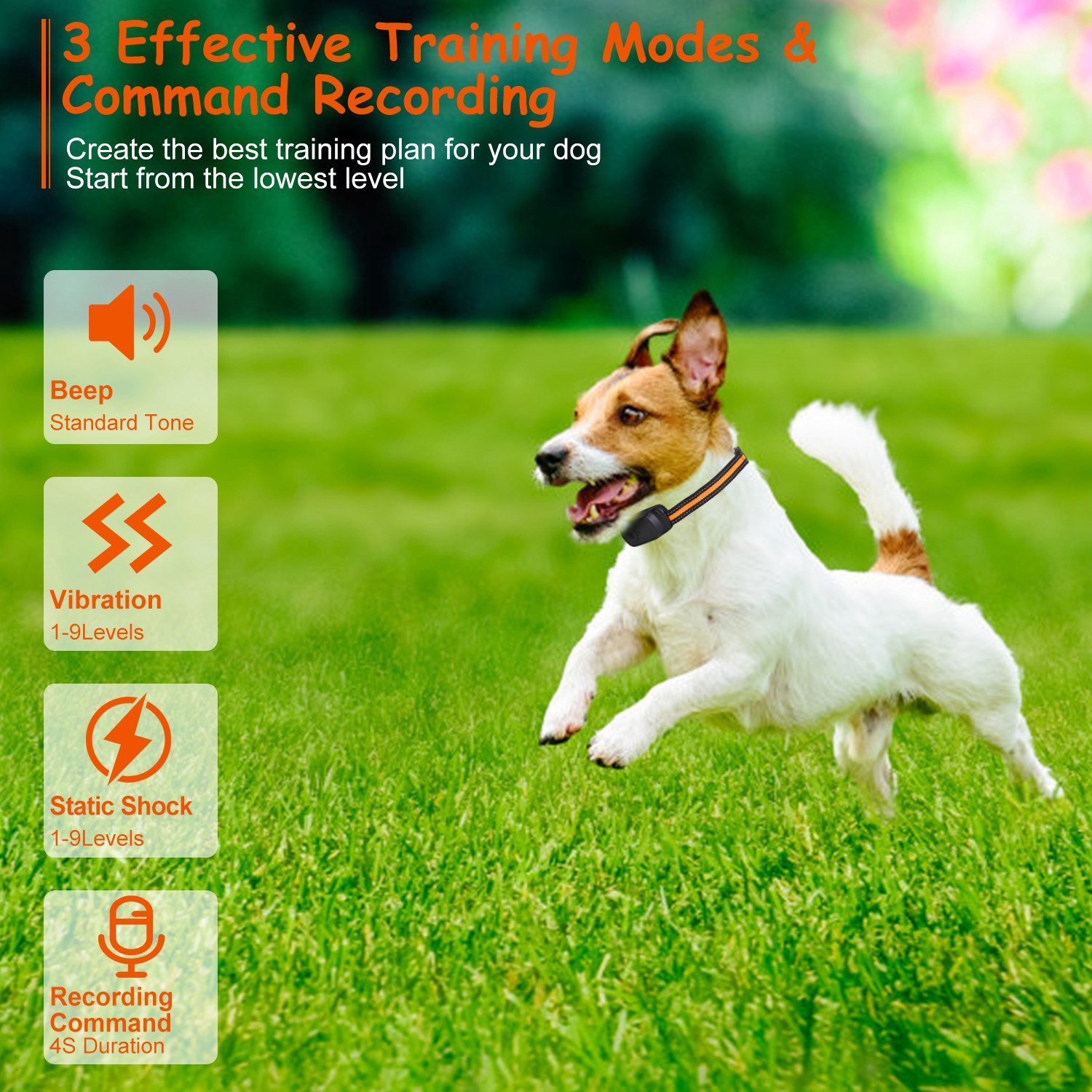 1Pc 984FT Dog Training Collar IP65 Waterproof Pet Beep Vibration Electric Shock Collar 3 Channels Rechargeable Transmitter Receiver Trainer With Recording Safety Keypad Lock - Image 3