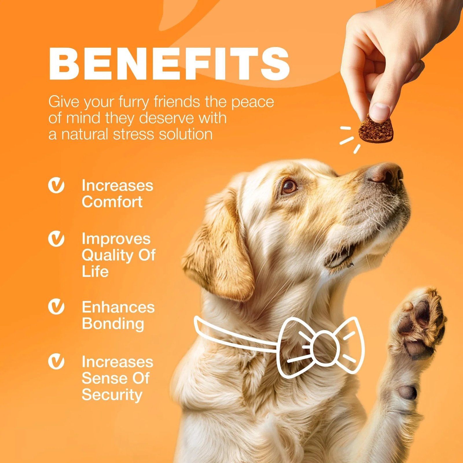 Dog Allergy Relief Chews Itch Relief For Dogs Anti Itch Dog Allergy Chews US Formulated Dog Itching Skin Relief With Salmon Oil Immune Health Seasonal Allergies & Hot Spots Support Treats - Image 3