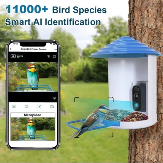 Smart Bird Feeder With Solar Powered Camera 1080P HD AI Identify PIR Motion Auto Capture Video Cloud Card Storage WiFi Connection App Control IP65 Waterproof - Image 4