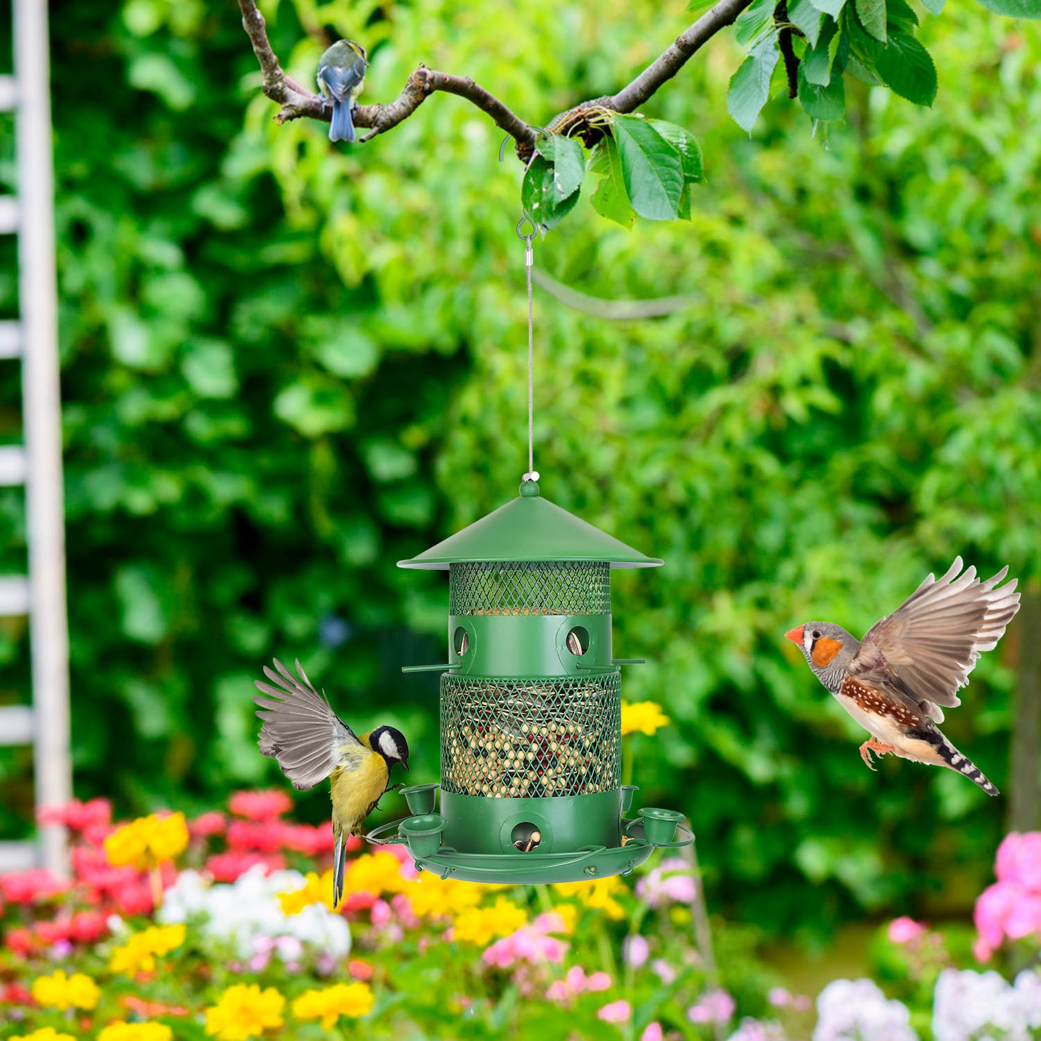 1Pc Wild Bird Feeder Squirrel-Proof Chew-Proof Metal Bird Seed Feeder Outdoor Hanging Bird Feeder With 360 Degree Circular Perches Water Cups For Yard Garden Patio - Image 7