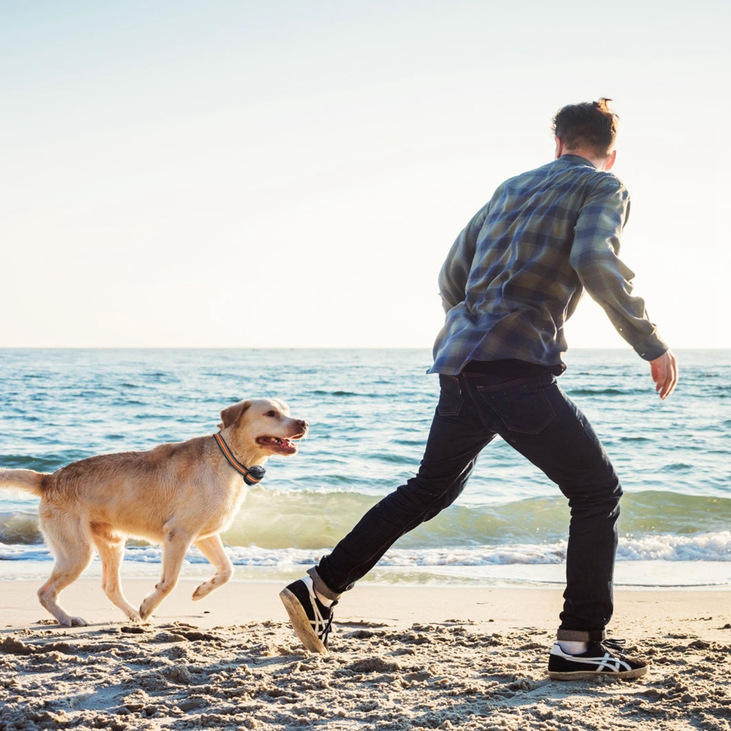 2 In 1 Dog GPS Fence Tracker Wireless GPS Dog Fence GPS Dog Collar With 32-2887FT Radius IPX6 Waterproof For Small Medium Large Dogs - Image 10