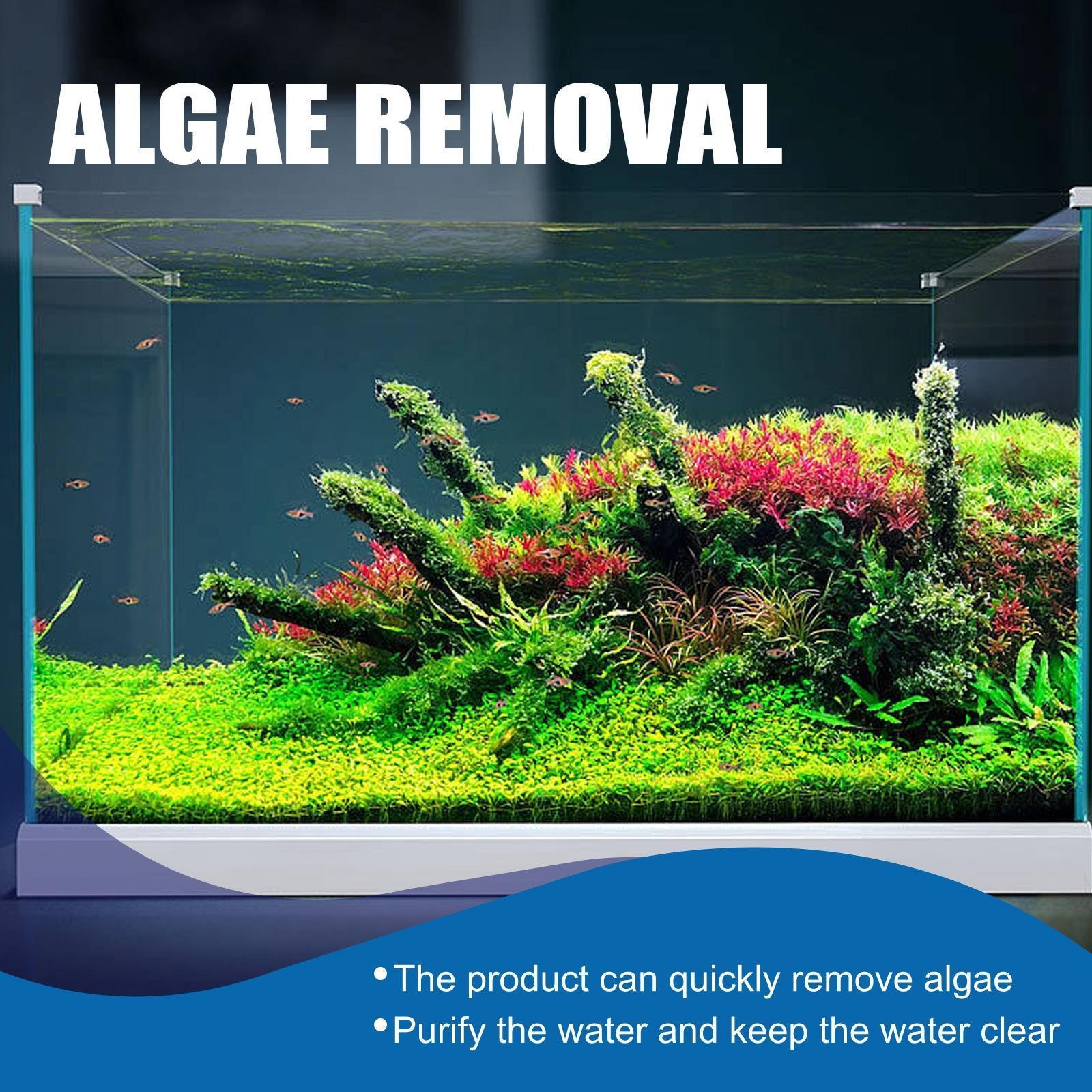 Igbondigal Lichen Fish Tank Cleaning Supplies Algaecide To Remove Moss And Green Water Algae - Image 9