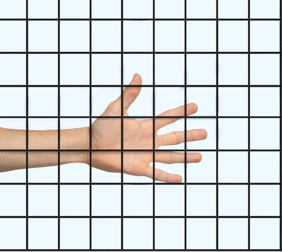 Metal Wire Fence - Image 6