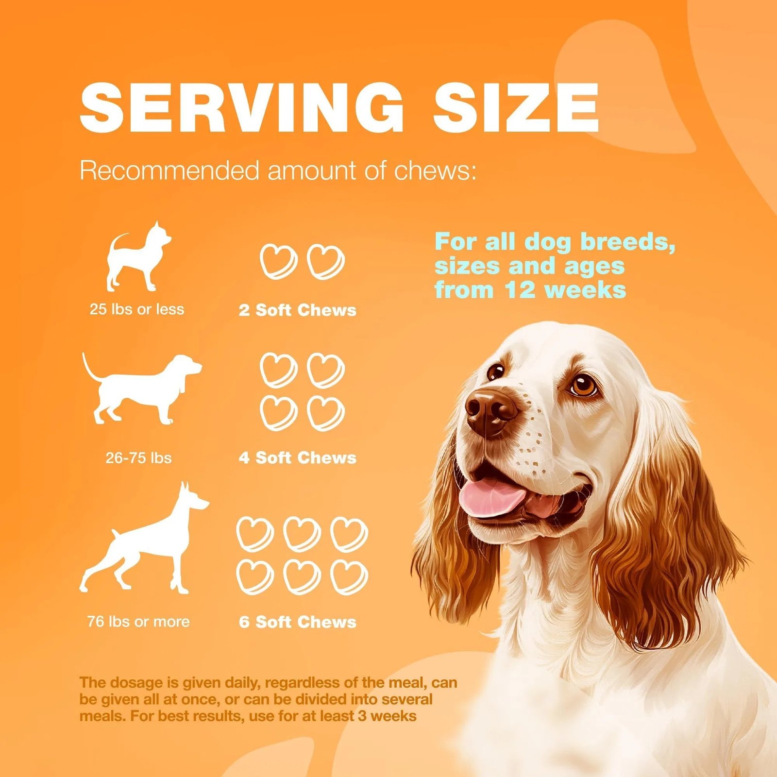 Dog Allergy Relief Chews Itch Relief For Dogs Anti Itch Dog Allergy Chews US Formulated Dog Itching Skin Relief With Salmon Oil Immune Health Seasonal Allergies & Hot Spots Support Treats - Image 6