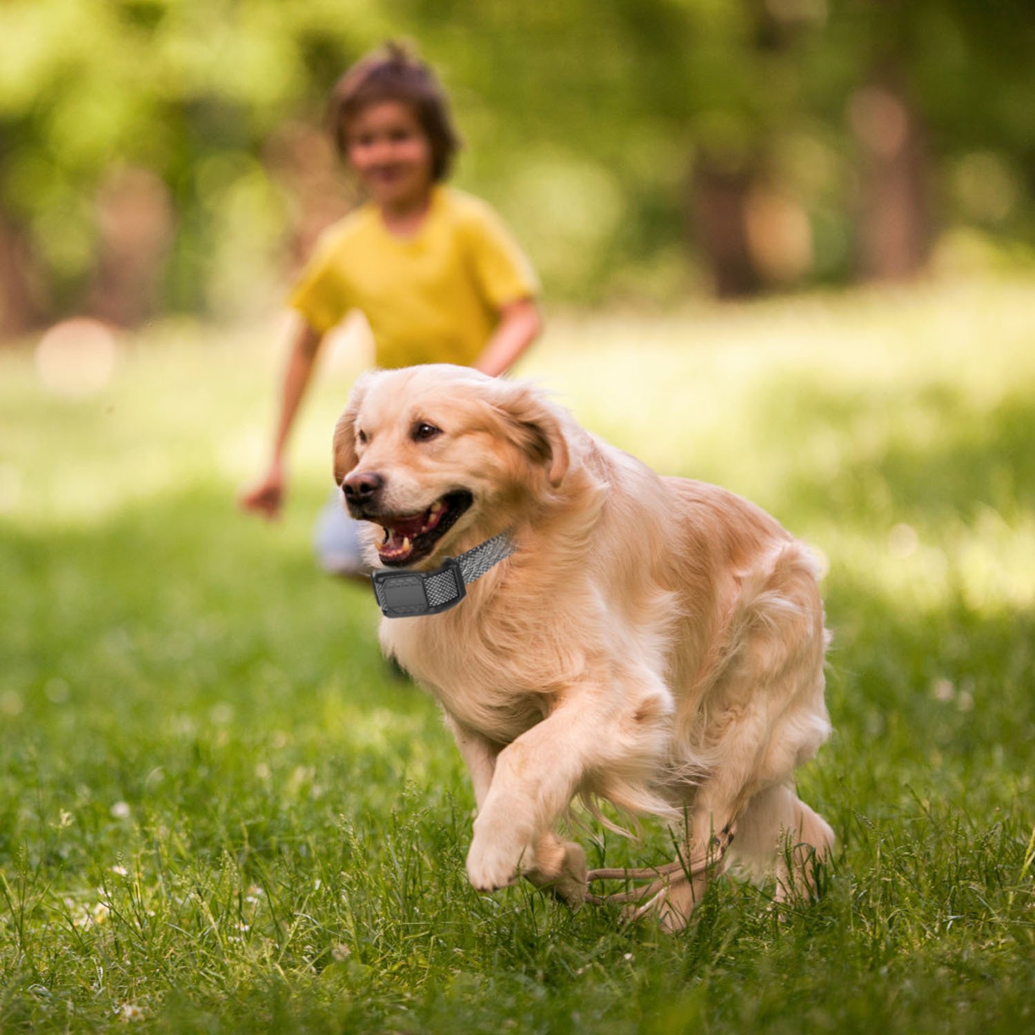 1Pc Citronella Bark Collar For Dogs Spray Bark Collar Anti Barking Control For Small Medium Large Dogs IP65 Waterproof No Electric Shocks - Image 5