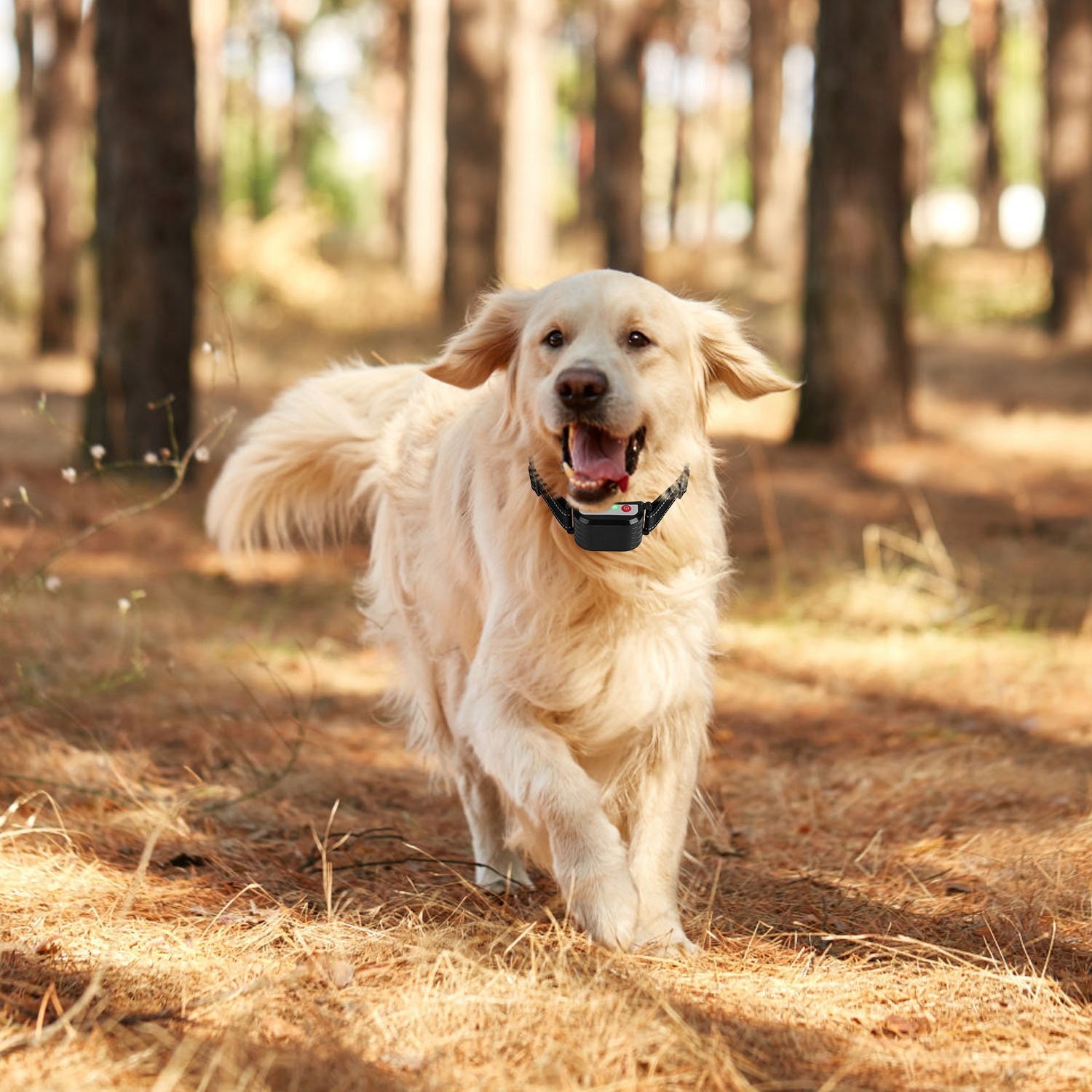 1Set 990FT Range Dog Wireless Fence Remote Training Collar IPX6 Waterproof Receiver With 0-9 Levels Beep Vibration Shock Mode 4 Channels Rechargeable Transmitter System - Image 10