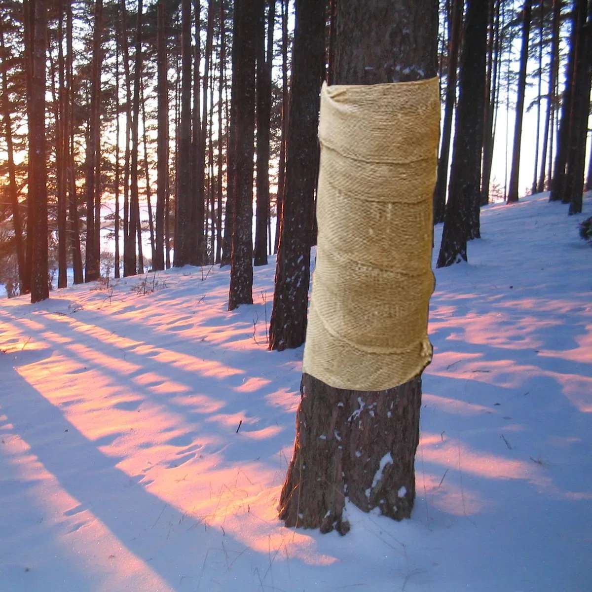 Burlap Tree Wraps,4 Rolls - Image 5