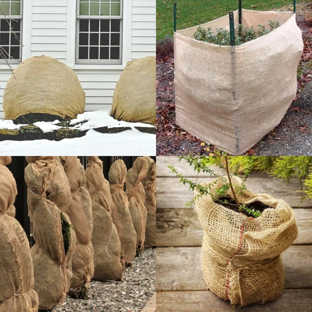 Burlap Tree Wraps,4 Rolls - Image 8