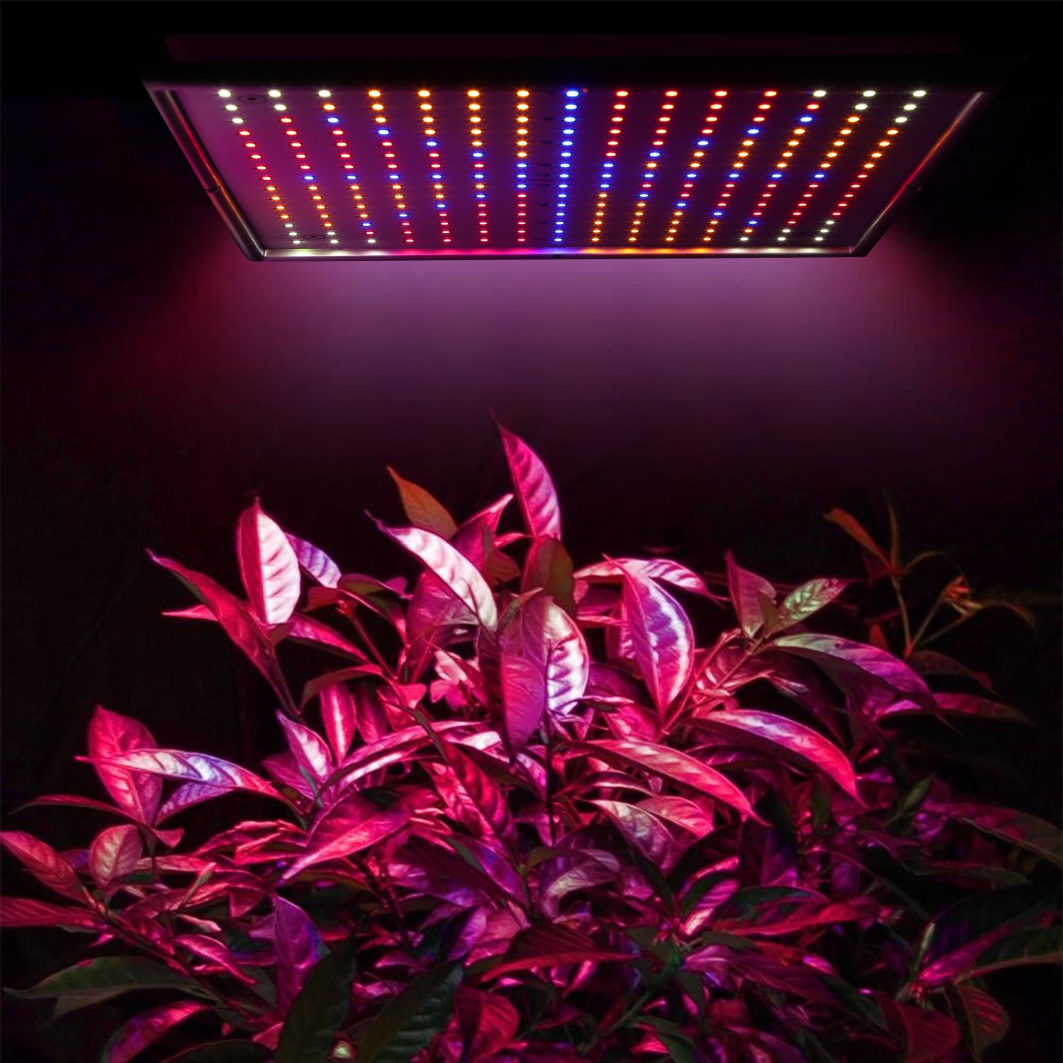 1 Set LED Grow Light Full Spectrum Hanging 225 LEDs Plant Grow Lamp Indoor Grow Light For Greenhouse Succulents Seedlings Plants Veg And Flower - Image 3