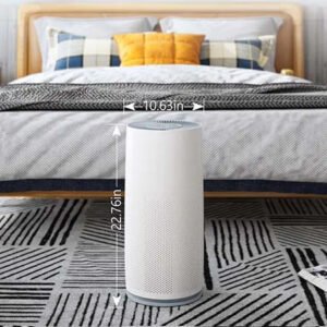 Console Air Purifier With True HEPA Filter
