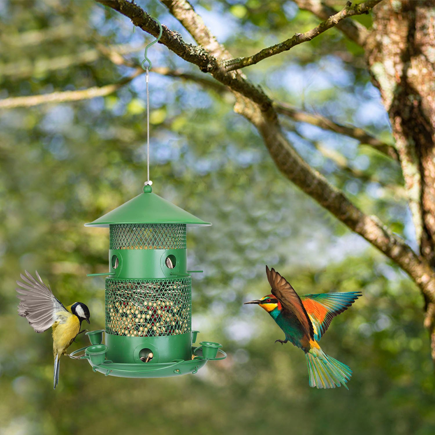 1Pc Wild Bird Feeder Squirrel-Proof Chew-Proof Metal Bird Seed Feeder Outdoor Hanging Bird Feeder With 360 Degree Circular Perches Water Cups For Yard Garden Patio - Image 2
