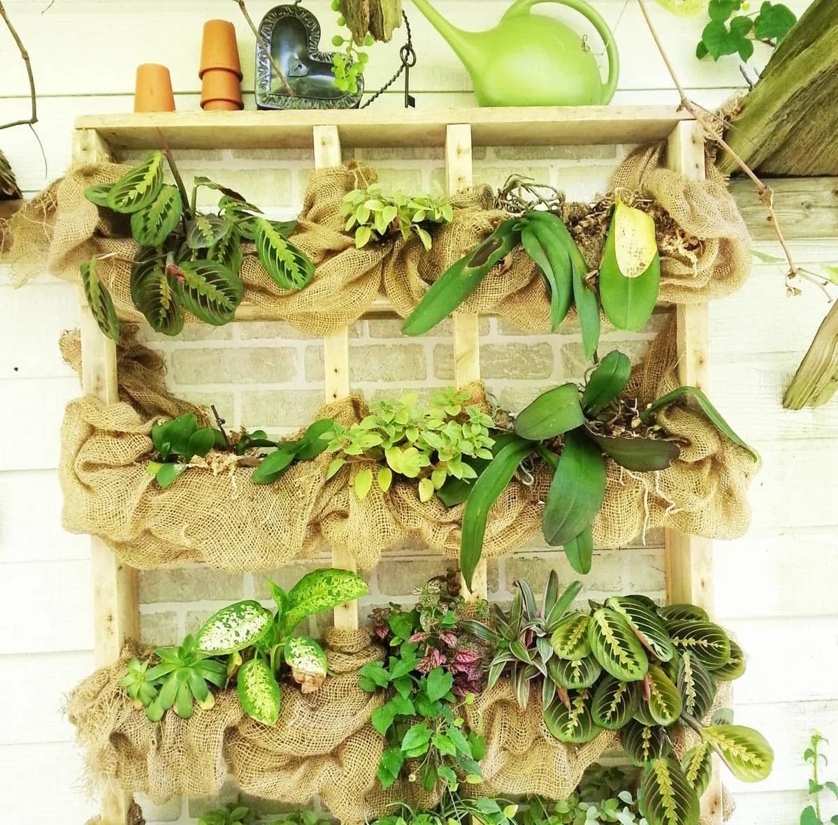 Burlap Tree Wraps,4 Rolls - Image 6