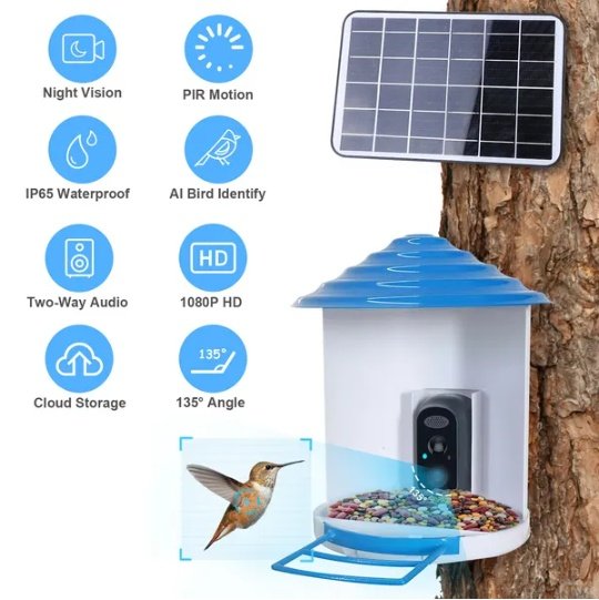 Smart Bird Feeder With Solar Powered Camera 1080P HD AI Identify PIR Motion Auto Capture Video Cloud Card Storage WiFi Connection App Control IP65 Waterproof - Image 2
