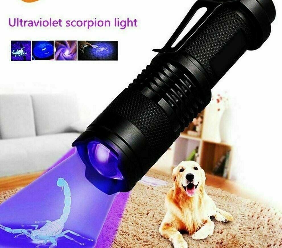 UV Ultra Violet Flashlight Handheld Blacklight Small Flashlight 395nm Mini Light Inspection Lamp Pen Torch Detector For Dog Pet Urine Stains, Bed Bugs And Scorpions - Image 9