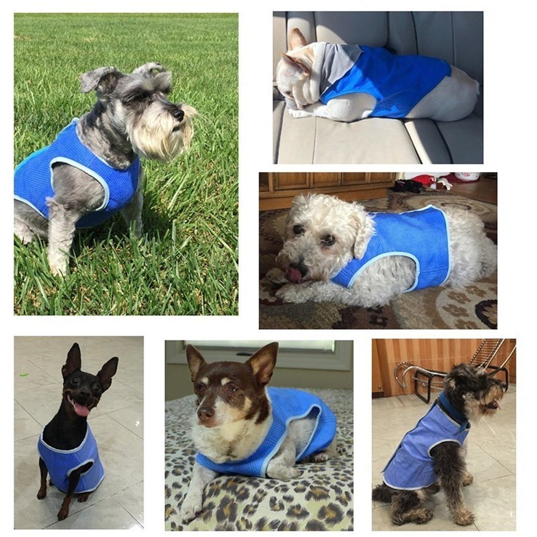 Dog Summer Cooling Vest, Pet Cooling Clothes Dog Cat Cooling Vest, Summer Heat Relief Vest Pet Dog Clothes Summer Clothes For Dogs Dog Cooling Vest - Image 9